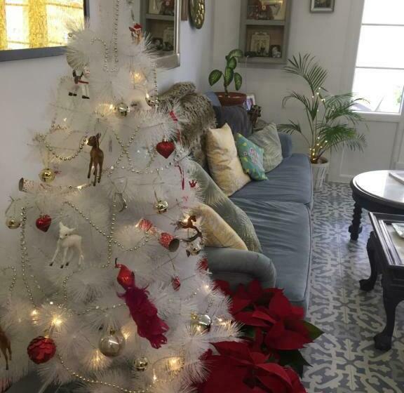 هتل کپسول El Nido Del Chorro