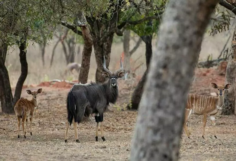 پانسیون Kiyala Guest Farm