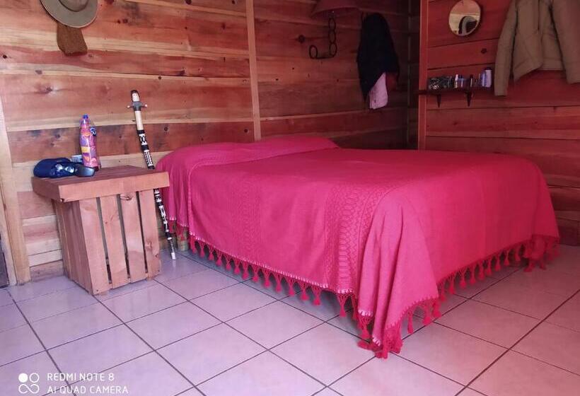 بنسيون Las Herraduras