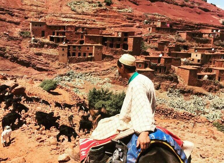 مبيت وإفطار Amlougui House