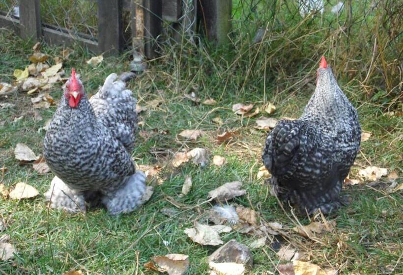 민박 Au Parfum Des Lavandes