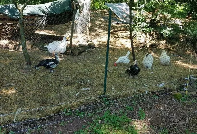 Aamiaismajoitus (B&B) La Providence, Chambres D Hôtes