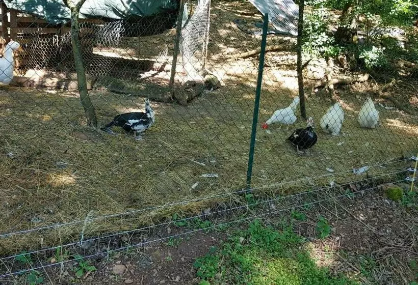 Aamiaismajoitus (B&B) La Providence, Chambres D Hôtes