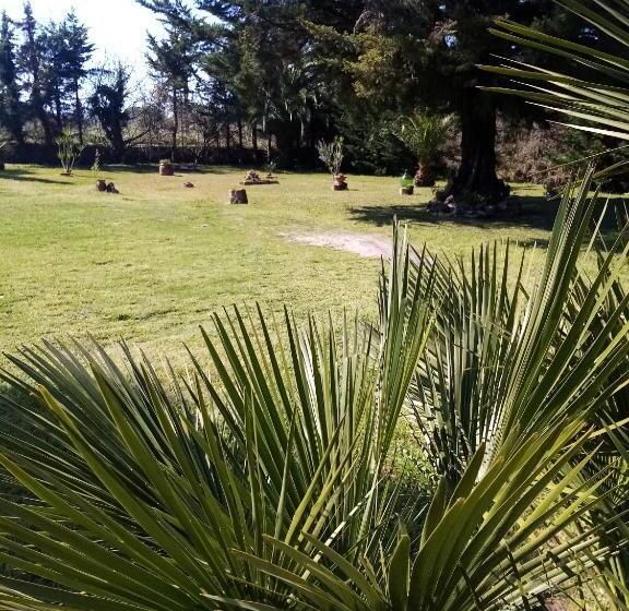 تختخواب و صبحانه Mamena