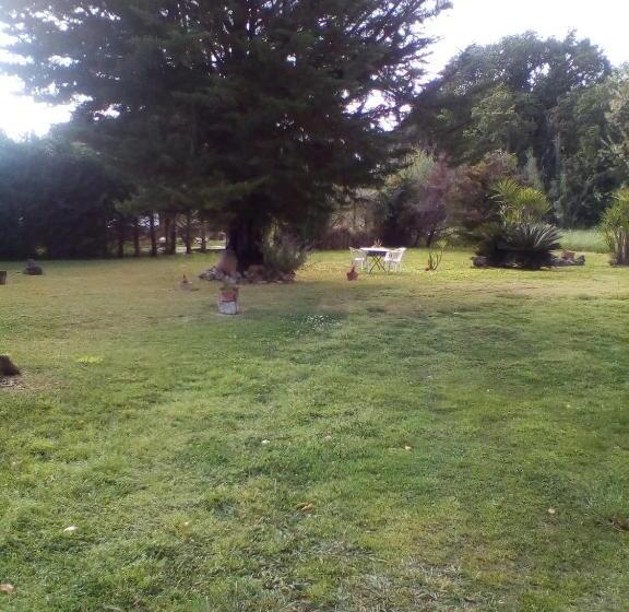 تختخواب و صبحانه Mamena