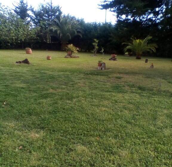 تختخواب و صبحانه Mamena