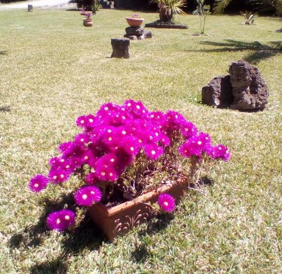 تختخواب و صبحانه Mamena