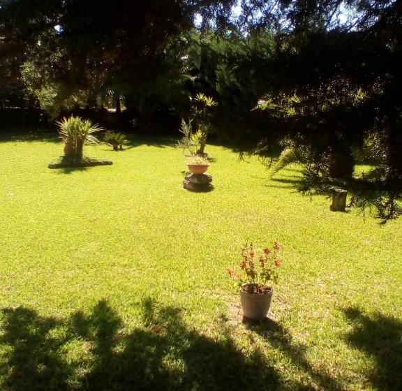 تختخواب و صبحانه Mamena