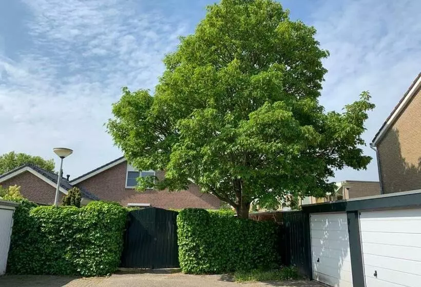 Aamiaismajoitus (B&B) Oostvoornsch Gastenverblijf