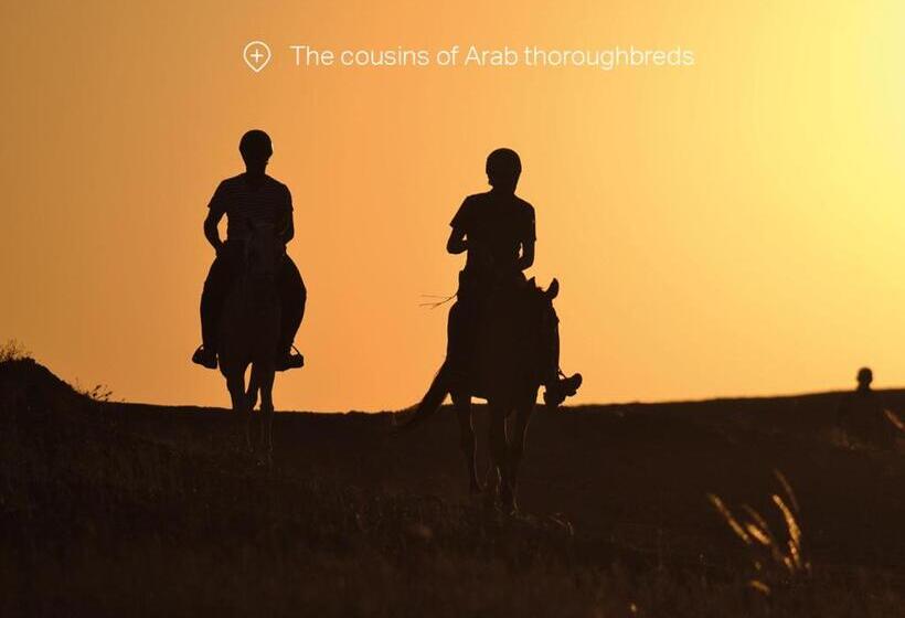 هتل Canyon Lodge Désert Agafay