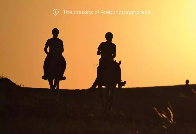 Hotelli Canyon Lodge Désert Agafay