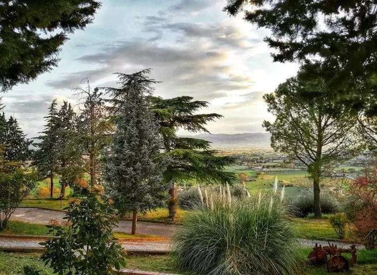 هتل Casa Per Ferie Ulivo D Assisi