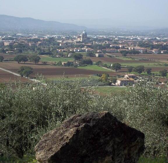 בית מלון כפרי Casa Per Ferie Ulivo D Assisi
