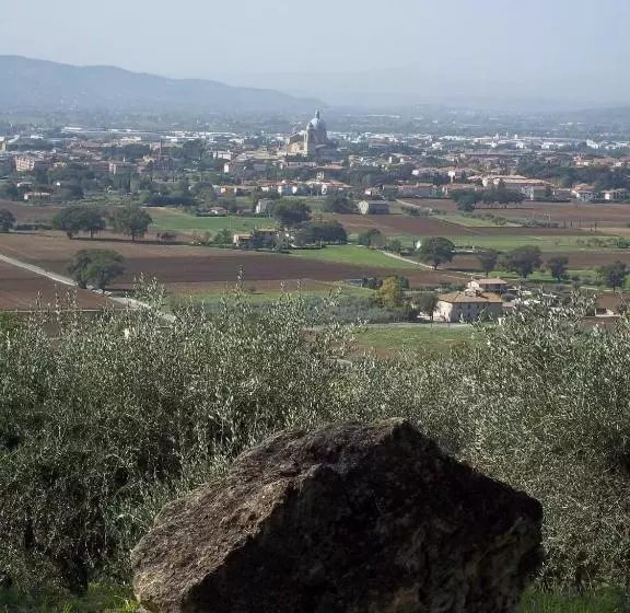 هتل Casa Per Ferie Ulivo D Assisi