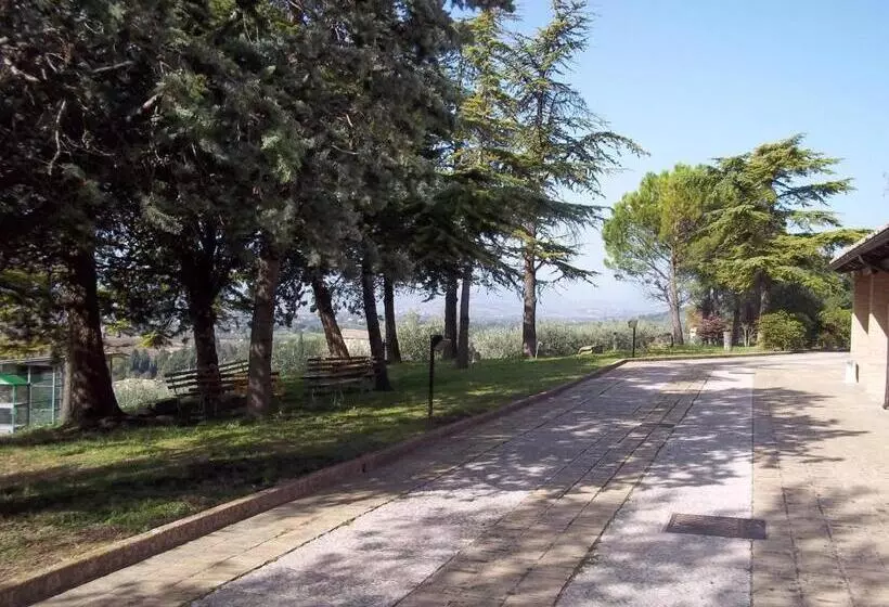هتل Casa Per Ferie Ulivo D Assisi