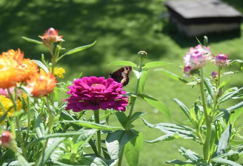 בית מלון כפרי Lo Sciatore
