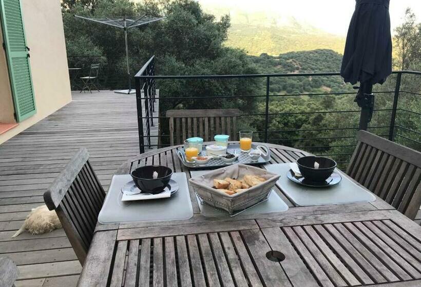 بنسيون La Villa Volpaso