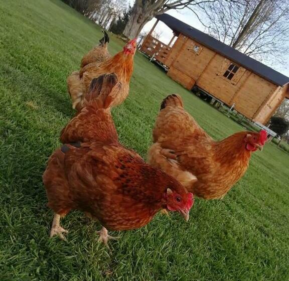 Pensionat Le Pressoir De Gisay