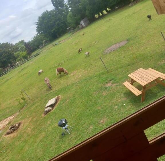 Pensionat Le Pressoir De Gisay