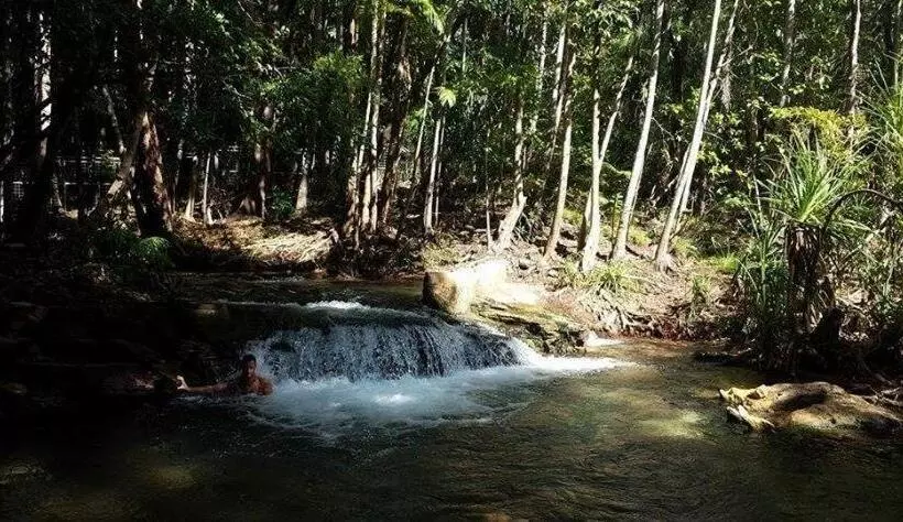 پانسیون The Tropical Sanctuary