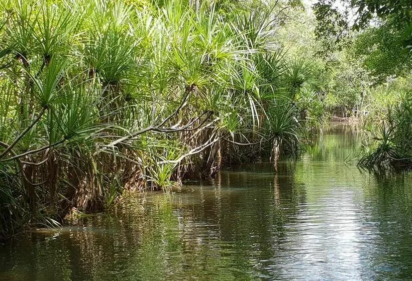 پانسیون The Tropical Sanctuary