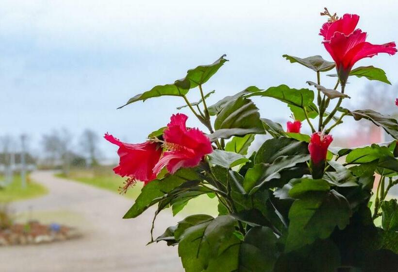 Rödlix Vandrarhem & Camping