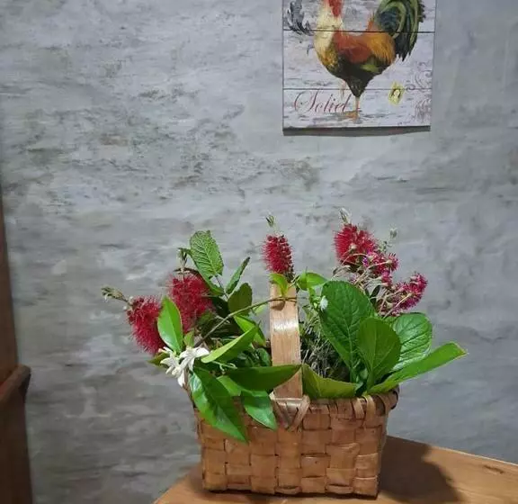 تختخواب و صبحانه Casa Dona Eufémia