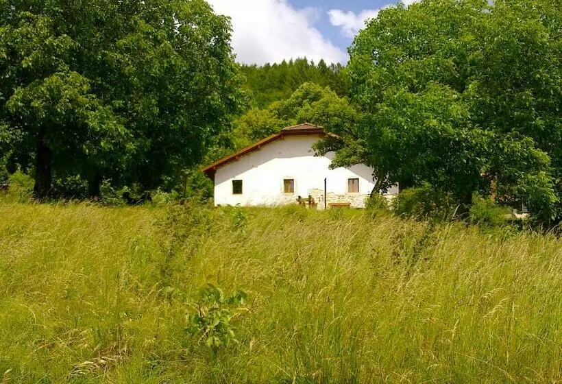 Aamiaismajoitus (B&B) Chez Louve Bleue