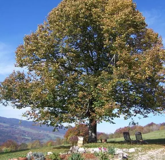 Aamiaismajoitus (B&B) Chez Louve Bleue