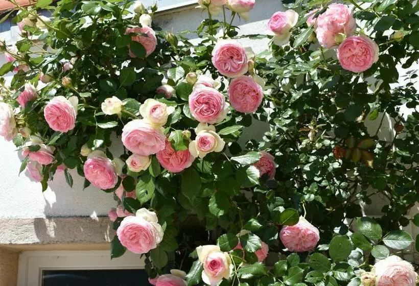 Aamiaismajoitus (B&B) La Jarrie Leduc