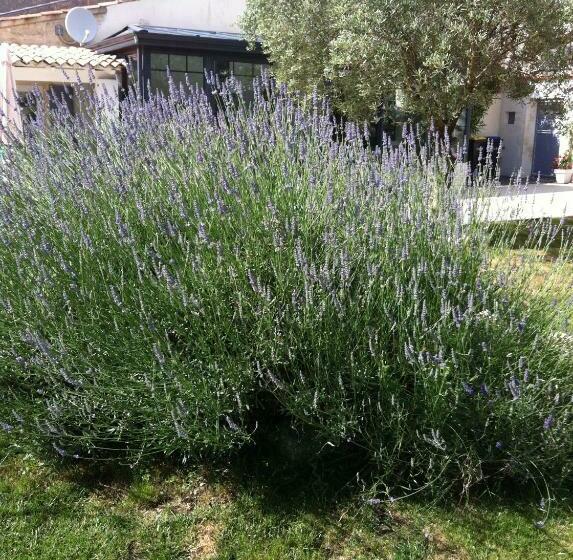 مبيت وإفطار La Jarrie Leduc