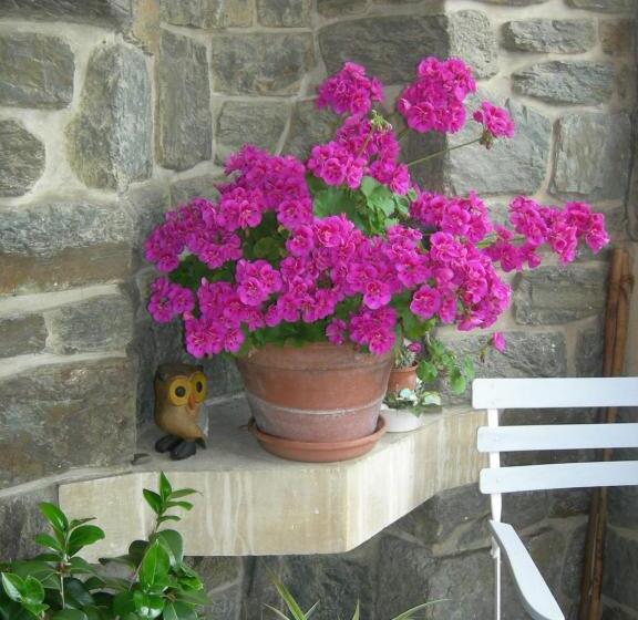 تختخواب و صبحانه Villa Helianthe