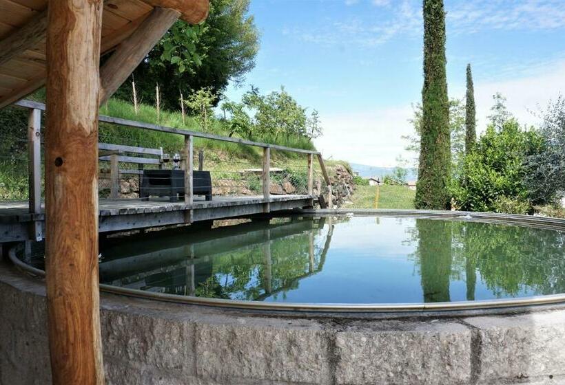 בית מלון כפרי Zum Schwarzen Kus