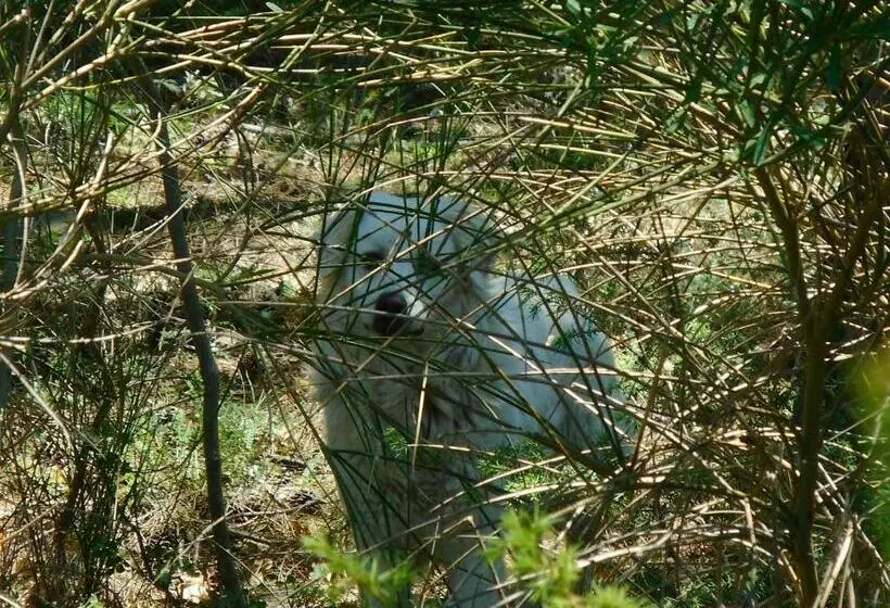 پانسیون La Terrazza Sul Vulcano