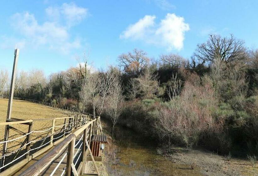 펜션 La Terrazza Sul Vulcano
