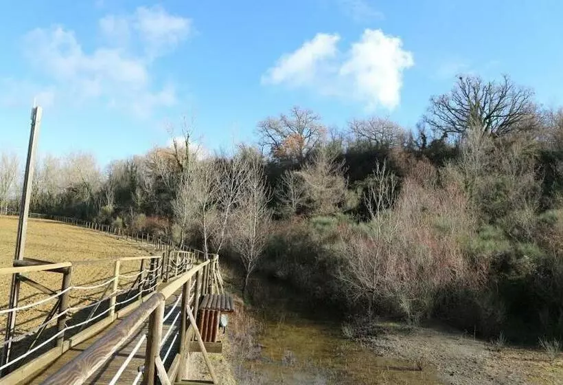 پانسیون La Terrazza Sul Vulcano