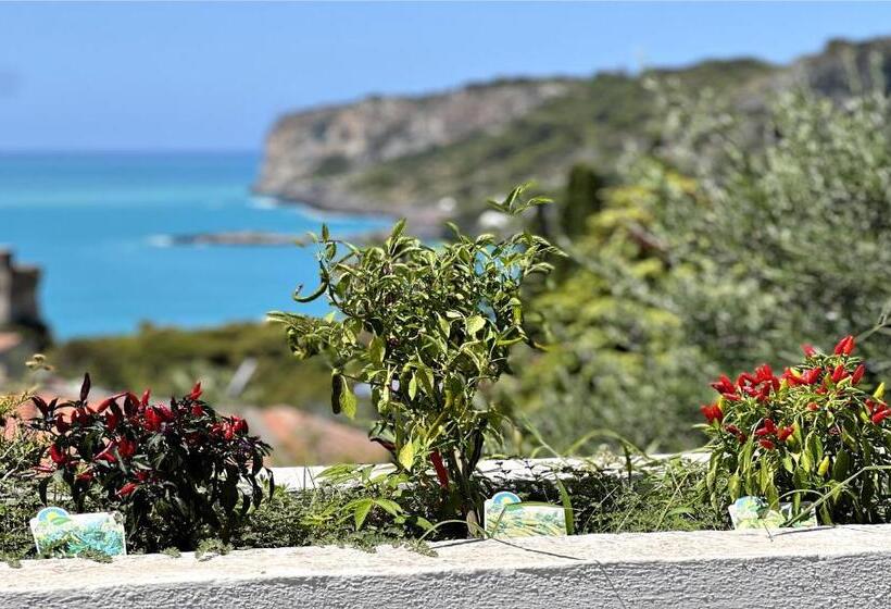 Villa Nappi Bed & Breakfast