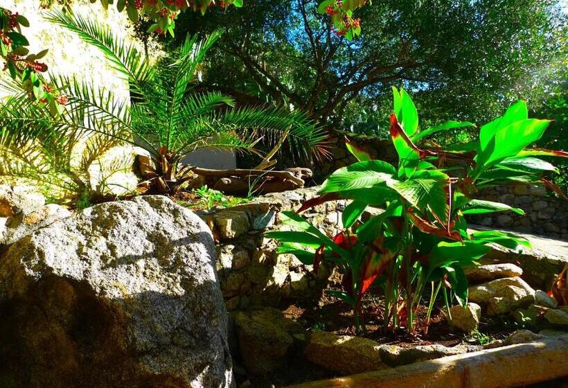 住宿加早餐  A Chiosella