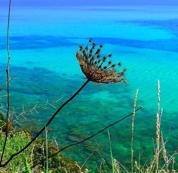 Aamiaismajoitus (B&B) A Chiosella