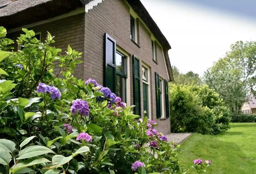Aamiaismajoitus (B&B) Bij Ons Op 20
