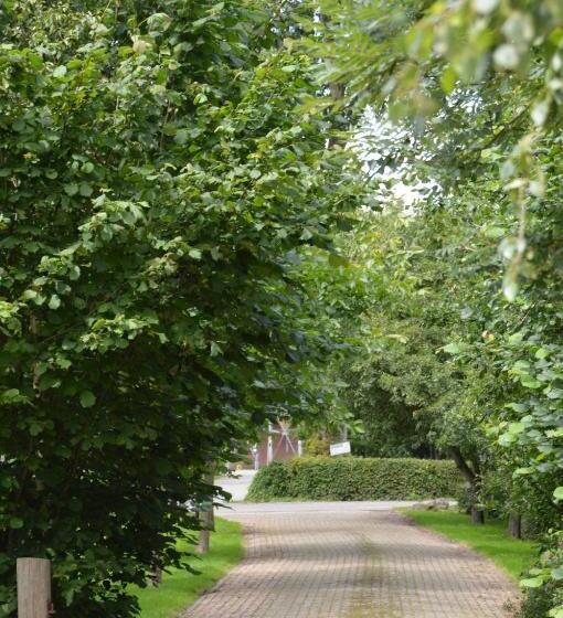 住宿加早餐  Bij Ons Op 20