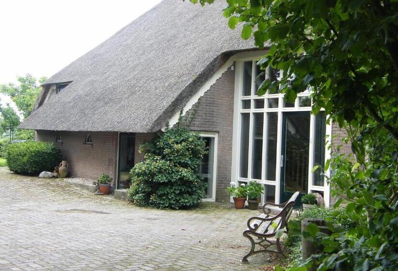 住宿加早餐  Bij Ons Op 20