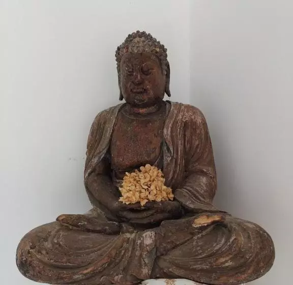 Aamiaismajoitus (B&B) Zen