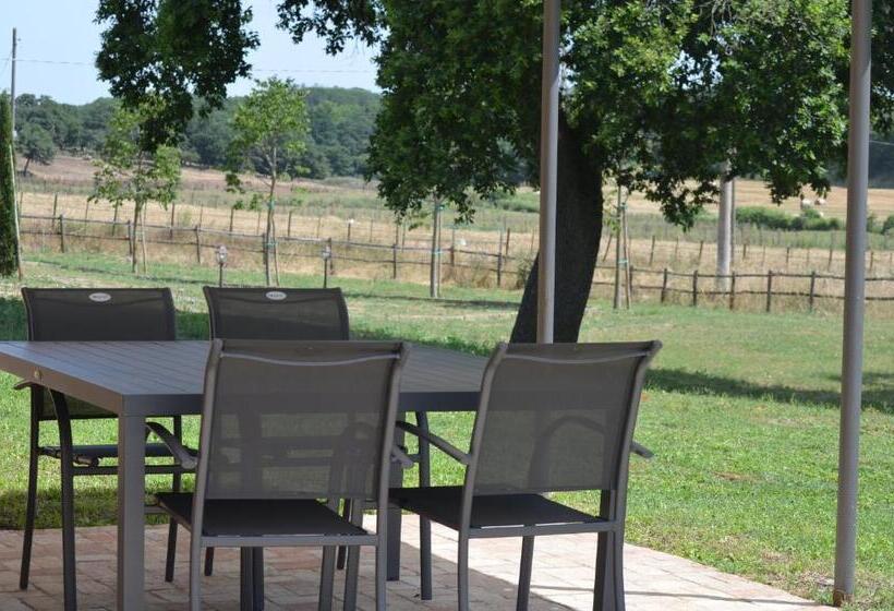 Отель Agriturismo La Ghiga