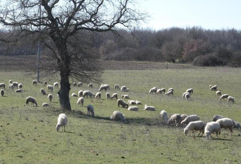 Отель Agriturismo La Ghiga