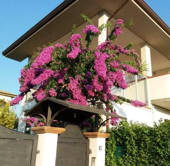 Aamiaismajoitus (B&B) La Bouganville Di Sante E Rosa