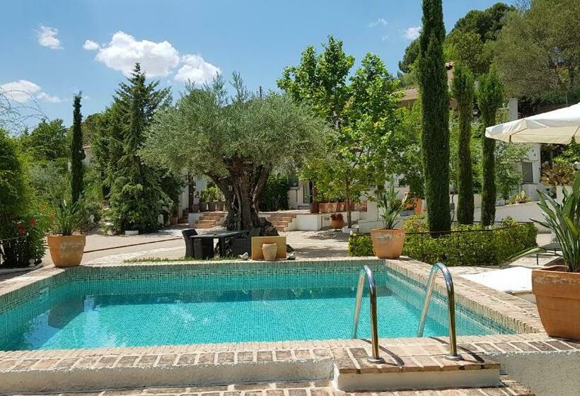 住宿加早餐  Los Mofletes   Adults Only