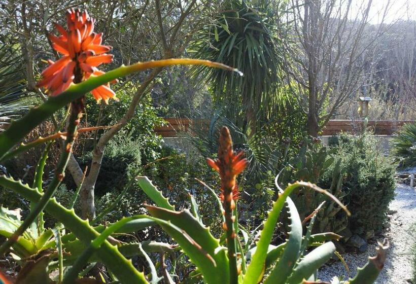 تختخواب و صبحانه Patrimonio Chambre Avec Commodités Chez L’habitant