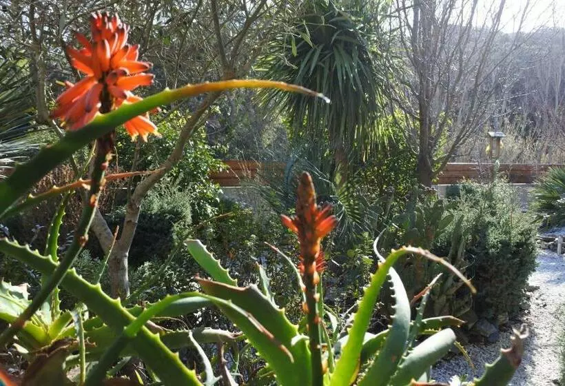 Aamiaismajoitus (B&B) Patrimonio Chambre Avec Commodités Chez L’habitant