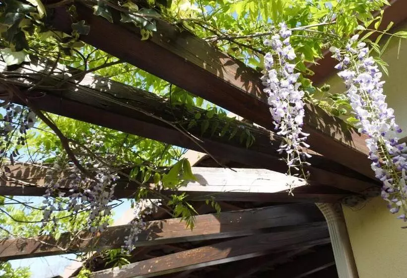 Aamiaismajoitus (B&B) Patrimonio Chambre Avec Commodités Chez L’habitant